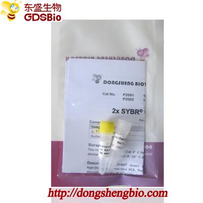 SYBR Green qPCR Mix for Roche Biorad DNA real time PCR 5ml