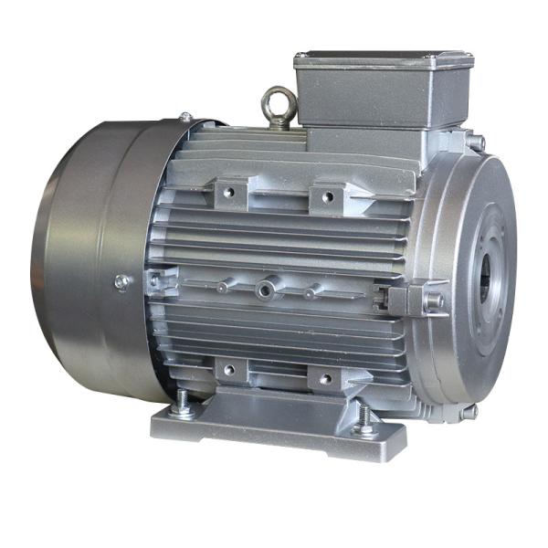 Spa Whirlpool System Hollow Shaft Motor featuring Insulation Class F and Life Span at least 3000 hours designed for usage