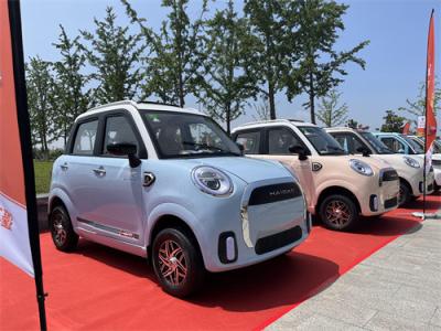 3000W Quatro Rodas Carro Elétrico Passageiro Elétrico Caravana Conveniente