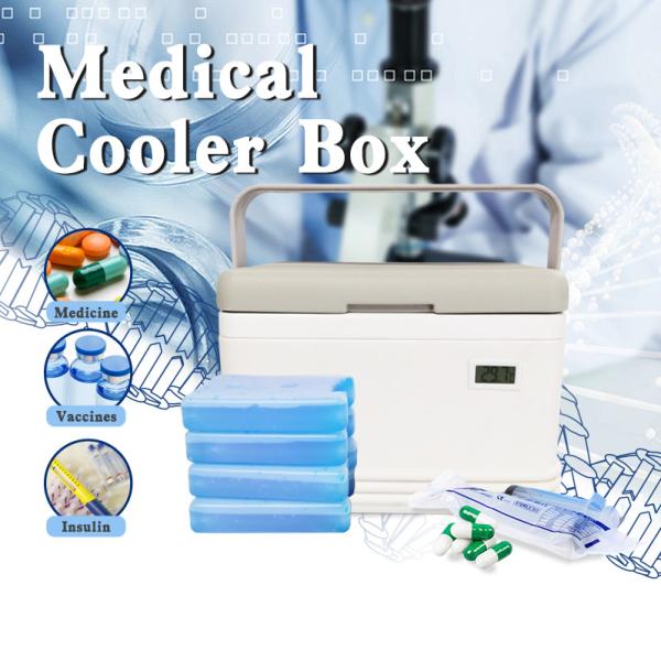 Caixa de Refrigeração Médica A solução de refrigeração perfeita para seus suprimentos médicos