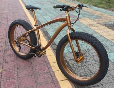 Private Label OEM 1000W 29 Inch Electric Mountain Bike