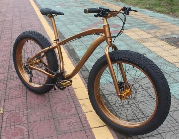 Private Label OEM 1000W 29 Inch Electric Mountain Bike