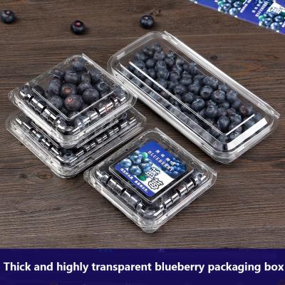 Blueberry box Disposable bowl designed for supermarket/fruit store packaging with transparent PET material