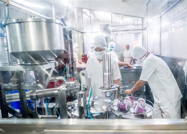 Stainless Steel Yogurt Processing Machine , Yoghurt Production Equipment