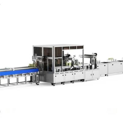 Lithium Battery Pack Production Line Prism Battery Automatic Battery Manufacturing Equipment