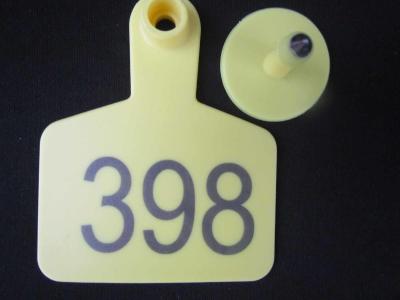sell animal cattle ear tag,laser ear tag,cow ear tag,material SGS certificate