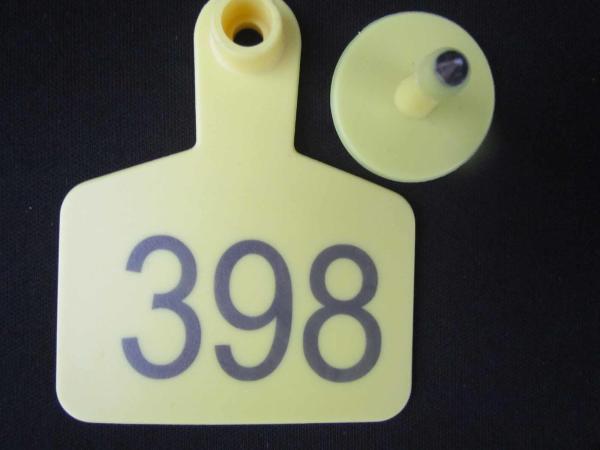 sell animal cattle ear tag,laser ear tag,cow ear tag,material SGS certificate,73x56mm