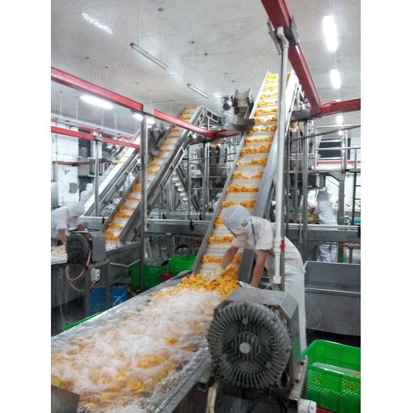 380В линия для мытья овощей и зеленый перец Чили очистительная машина