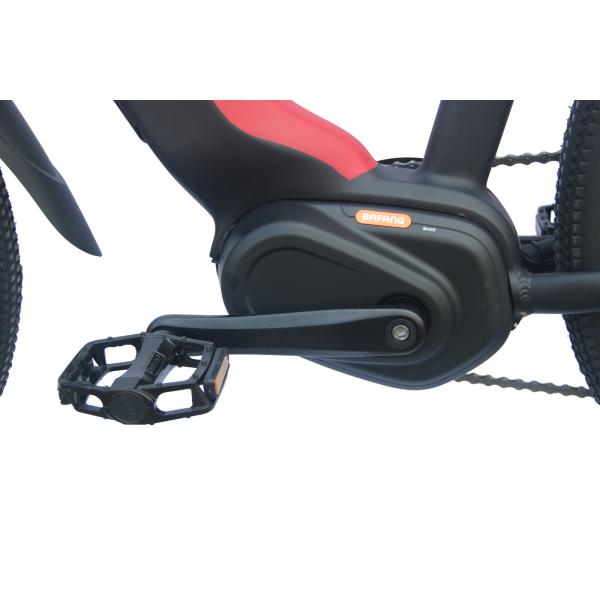 350w Portable Folding Electric Bike Hub Motor E Bike With Removable Battery 36V 10Ah