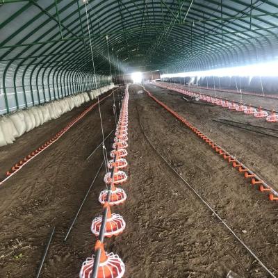 45-60 Chicken Poultry Farm Equipment 3 pan/3m Poultry Farm Feeding System