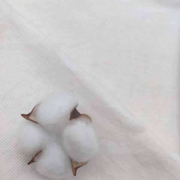 White Color 100% Cotton Plain Dyed Fabric For Sports Clothing 260gsm