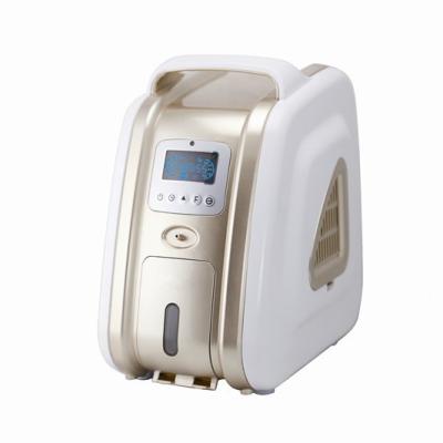 Flow Rate 1 ~ 3L Portable Oxygen Concentrator Humidifier With Heat Balance System HEPA Filter