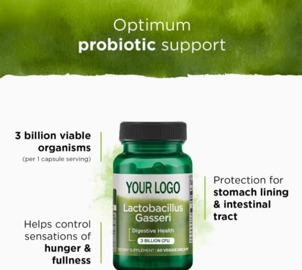 lactobacillus - Vegetarian Probiotic Supplement Supports Digestive Health Supports Belly Fat Burner Capsules