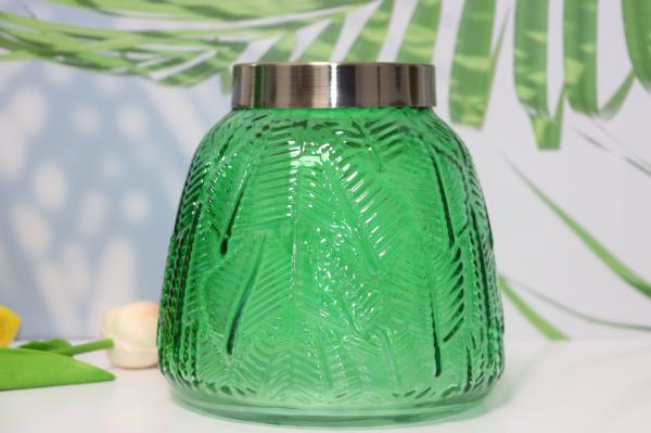 Decoração de vasos de vidro de arte hidropônica verde transparente para casa