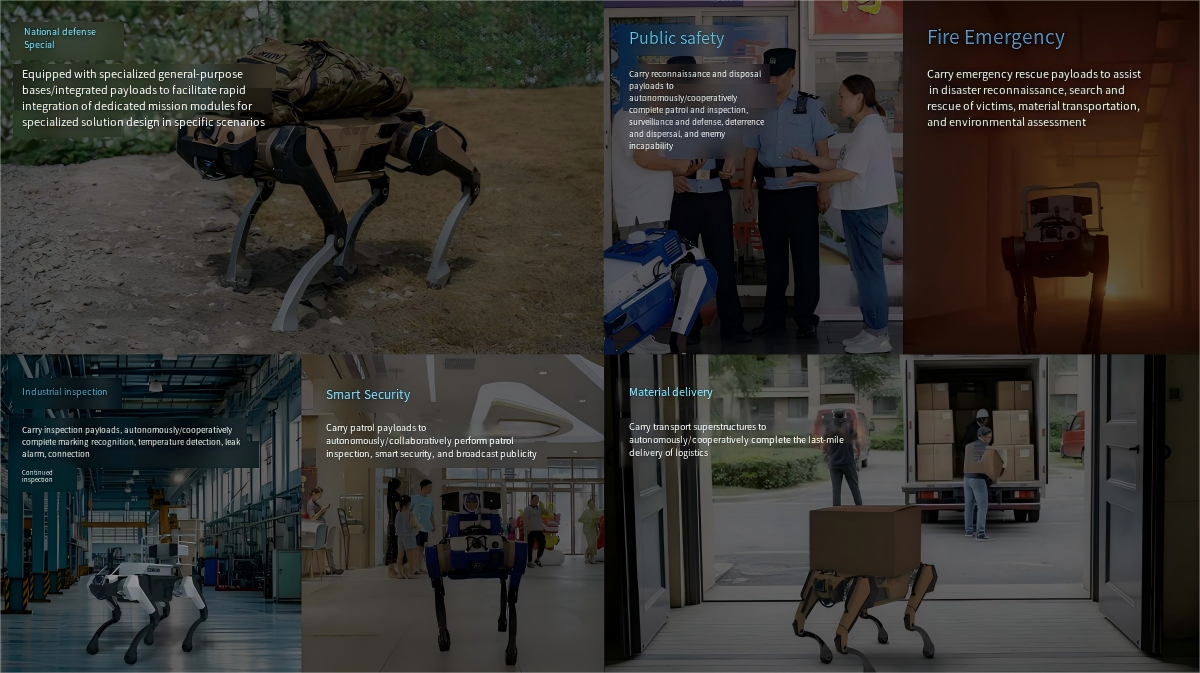 Chengdu ShineRing Technology Co., Ltd.