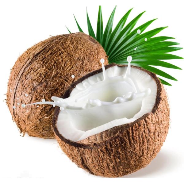 Natural Coconut Fragrance Essence Oils For Perfume & Body Lotion