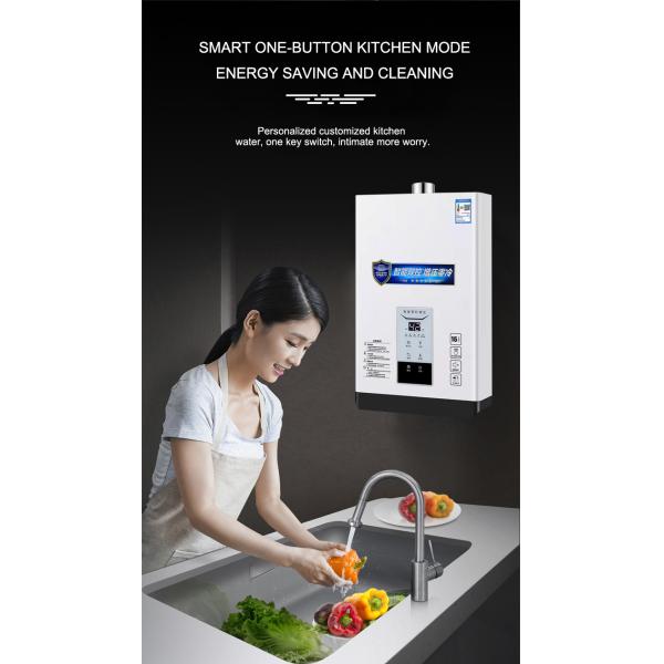 Natural LP Gas Tankless Water Heater Hot Water Boiler 16000W 10L-16L