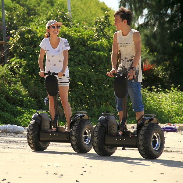 Auto Segway Electric Scooter Two Wheel 19 Inch Intelligent Green Free Standing
