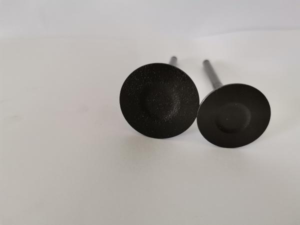 TOYOTA COROLLA Exhaust Valves 3975EN Diesel Engine Spare Parts