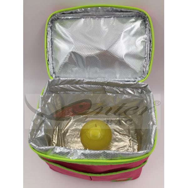 Portable Food Cooler Bag , Travel Insulated Freezer Bags 25X20.5X16.5 Cm Size
