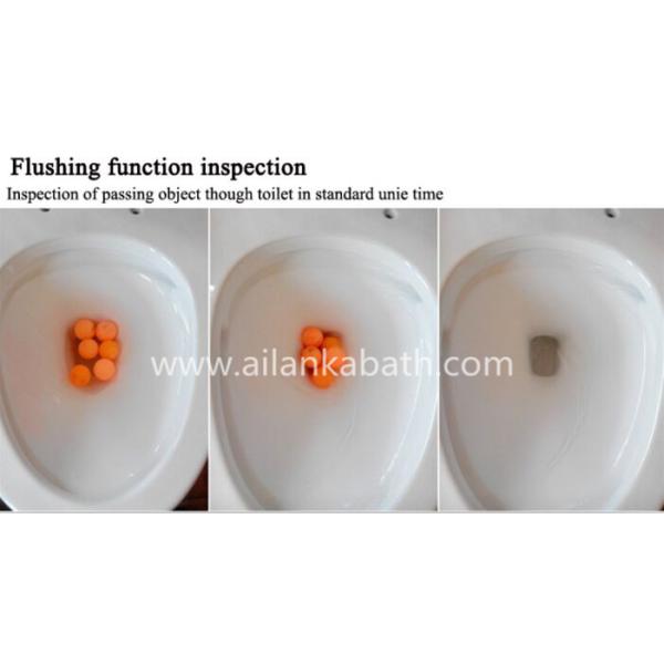 Middle East Bathroom Sanitary Ware Ceramic S-trap250 Roughing-in Washdown One-piece Toilet