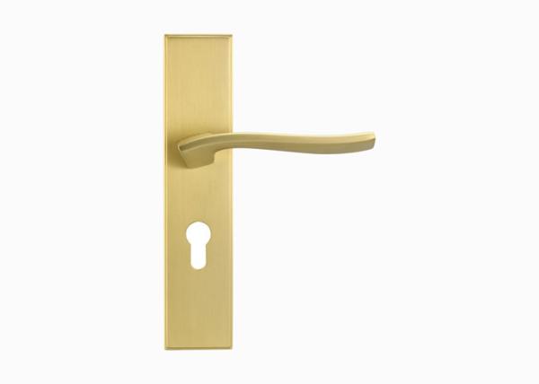 Security Luxury Solid Brass Gold Interior Door Pull Handle Lock Set 133mm 63mm