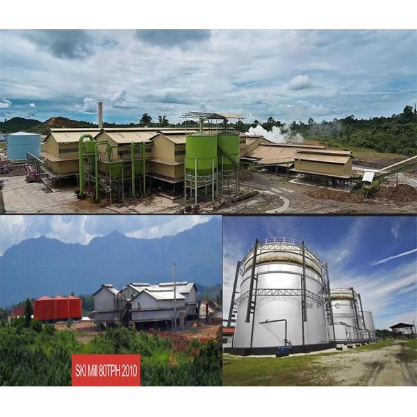 Palm Fruit Red Palm Oil Press Machine for High Productivity Palm Oil Extraction Processing Plant Competitive Cost