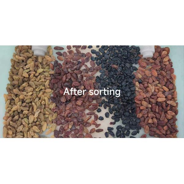 220V Cashew Nut Color Sorter Machine with Wifi Remote Control and ≥99.99% Sorting Accuracy
