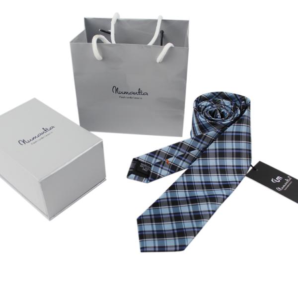 Latest checked Polyester Necktie