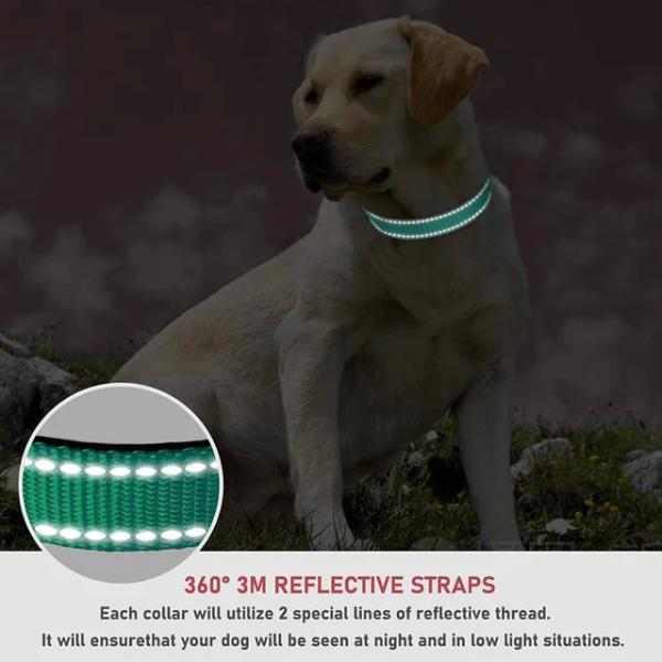 Premium Reflective Dog Collar - Adjustable Safety Nylon Collar for All Dog Breeds