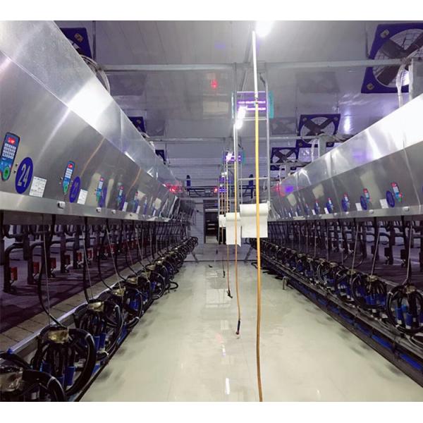 Plant Goat Cow Herringbone Milking Parlor Electronic Meter Equipment