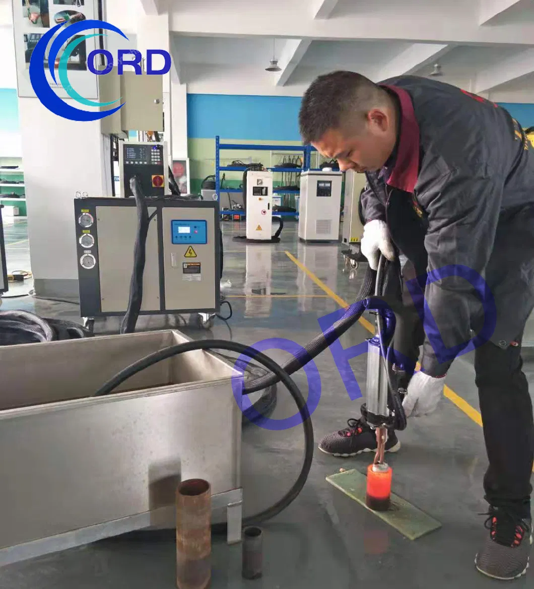 IGBT+DSP+CE Протабельная индукционная нагревательная машина с металлическим листом