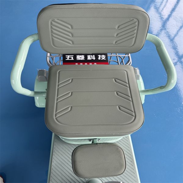 Lingmao Electric Tricycle with Youthful Design and Flexible Storage for Low Maintenance Cost Commuting