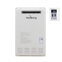 Chauffe-eau extérieure à gaz naturel à 110-220V
