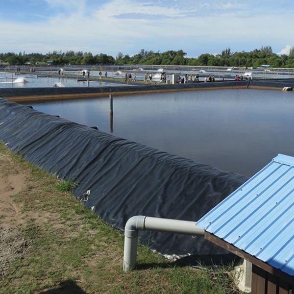 Liner de lago de geomembrana de HDPE à prova d'água para tanques de água