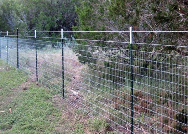 1.25LB Farm Metal T Post 8 FT Length High - Strength Weather Resistant