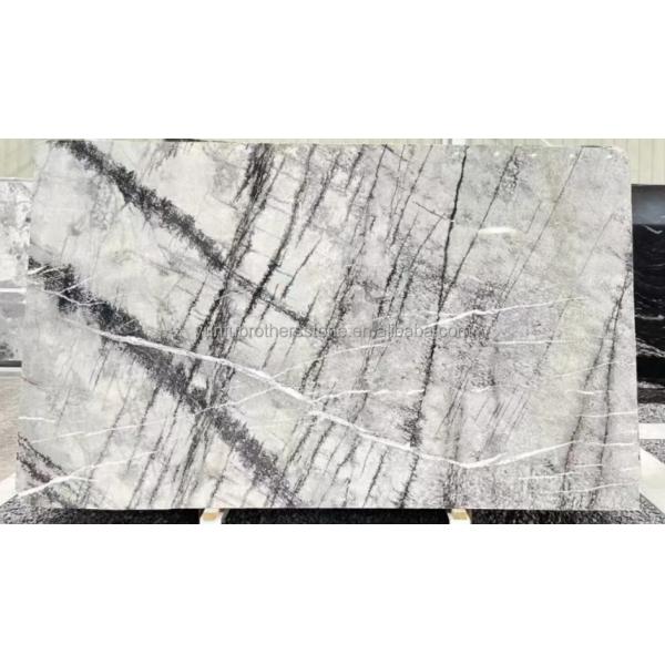 Italian Natural Stone Silver Fir Black Grey Look Marble Textured Slab for Home Wall Panel