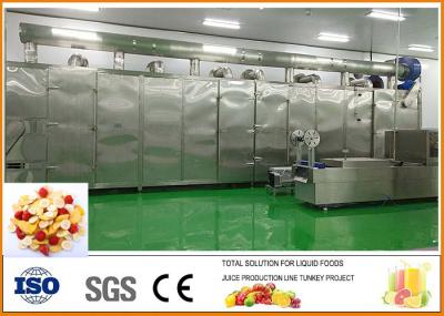 Fruit and Vegetable Dried Fruit Production Line ISO9001 Certification
