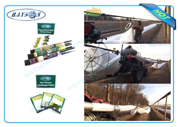 Tissu non tissé de paysage de pp avec Masterbatches Anti-UV utilisé comme bâches de terre ou sacs d'usine