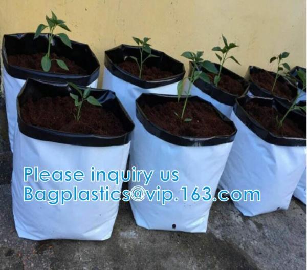 Planter Bags, Grow Bags, Cultivating Bags, Nursery Pot, Greenhouse, Agricultural Film,  Horticulture Garden
