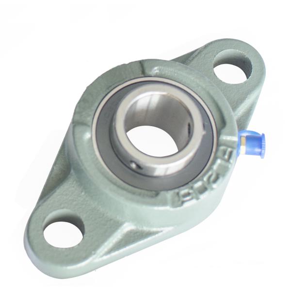 UCFL200 Oval Flange Bearing