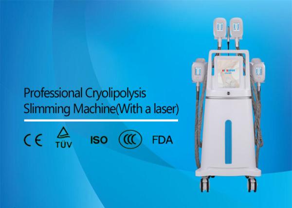 4 Cryo Handles Body Slimming Machine , Vertical Type Weight Reduction Equipment