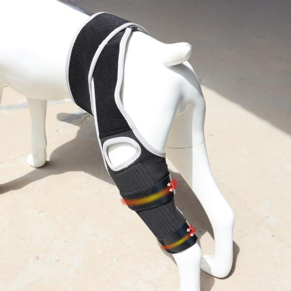 Dog Knee Brace