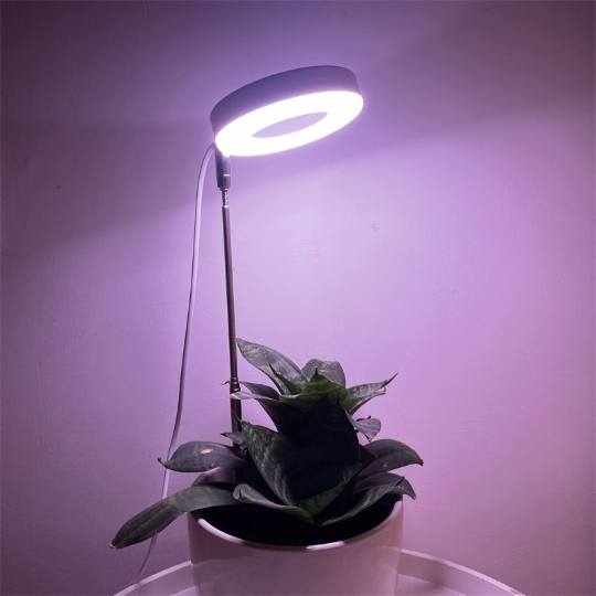 Sunshine Desk Grow Light 8 Hours Grow Lights For Indoor Plants