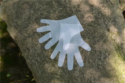 Thick Latex Free Kitchen Disposable TPE Gloves