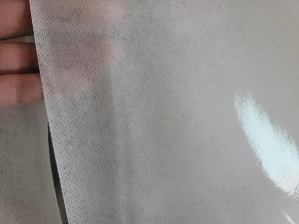 AF-1000mm Extrusion Coating Machine TPU Hot Melt Adhesive Shoe Material