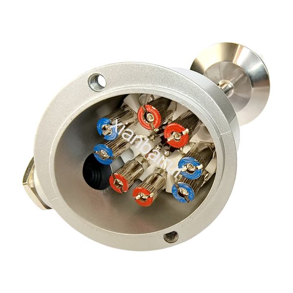 Platinum Resistor RTD Temperature Sensor with 4-20mA Output for Food Industry Applications