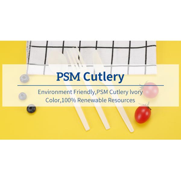 Biodegradable Plastic PSM Disposable Cutlery for Fast Food Takeaway