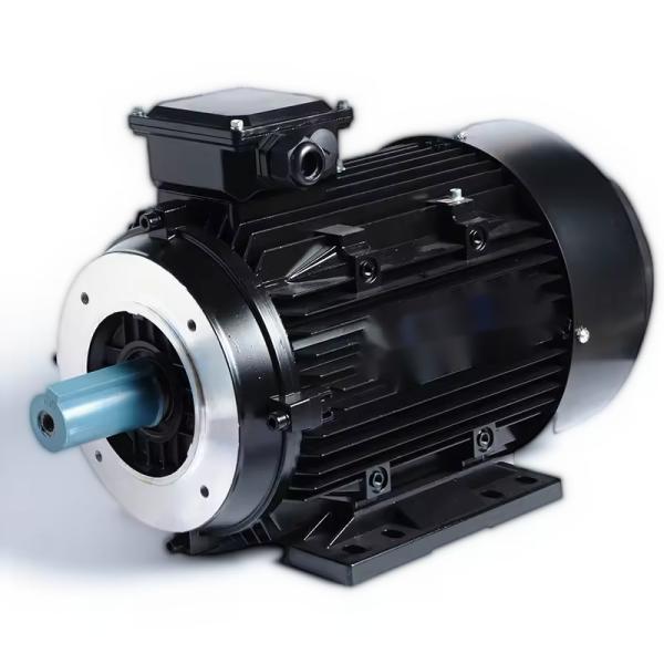 Motor AC 50/60HZ 1500RPM 380V Long Life Go-Gold para máquina de café