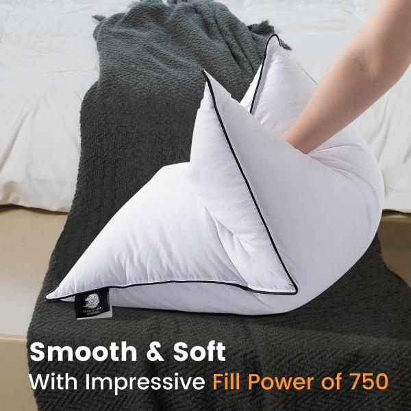 Soft Square 100% Polyester Set of 2 Luxury Hungarian Goose Down Pillows for Sleeping